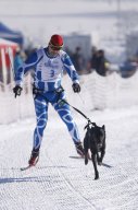 Lenk 2013